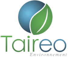 logo-taireo.png